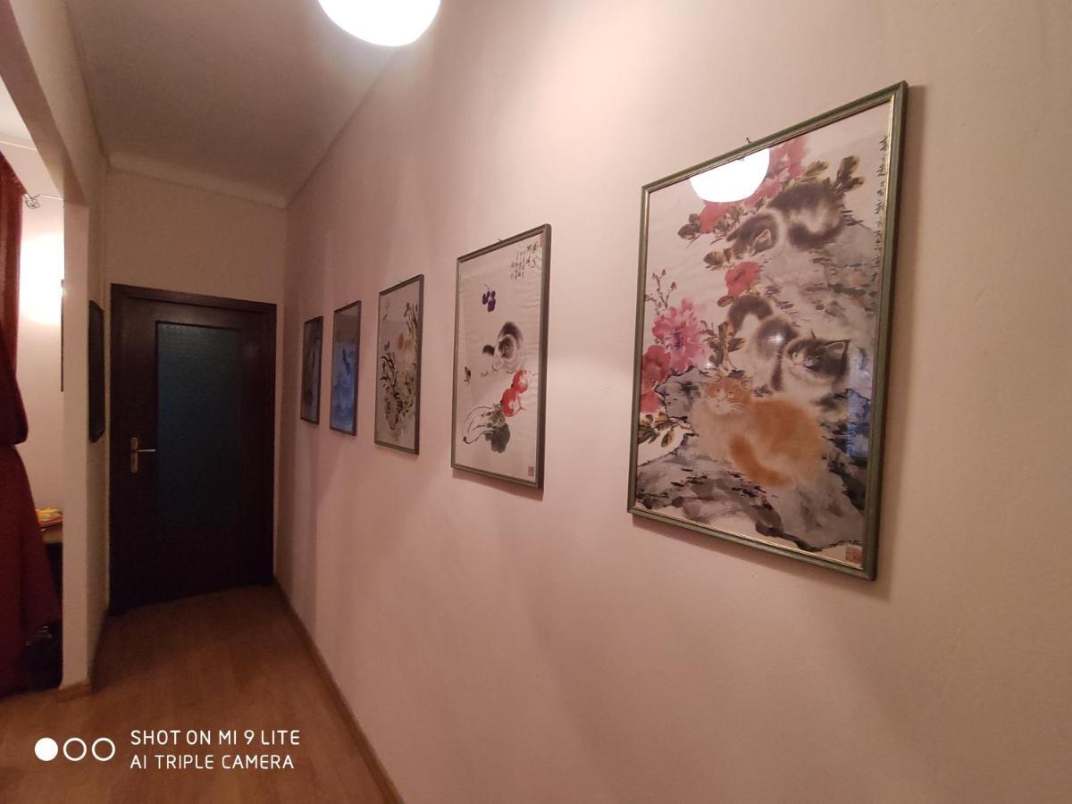 Apartamento Ex Ostu Impero: Vino, Tartufo Ed Ospitalita La Morra Exterior foto